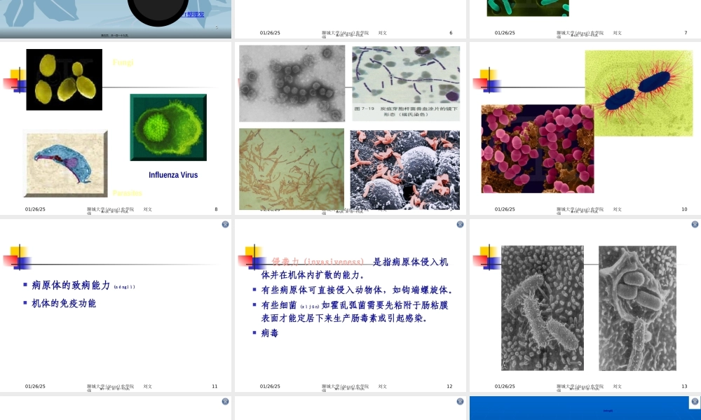 2022年医学专题—总论2：第一章动物传染病流行过程(刘文强).ppt