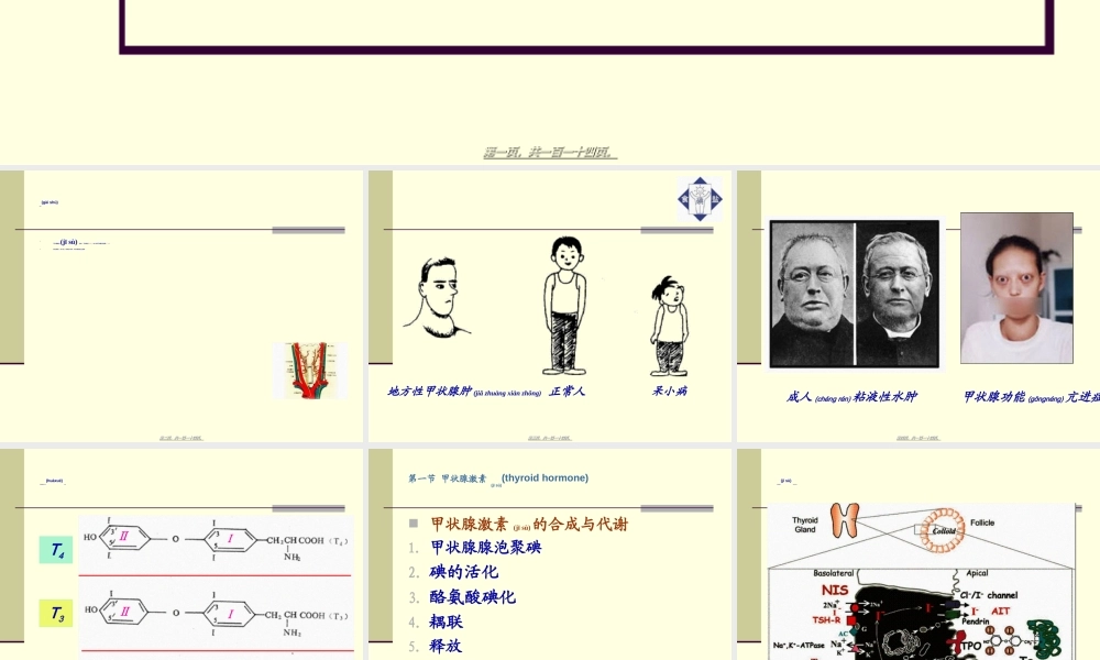 2022年医学专题—甲状腺胰岛素.ppt