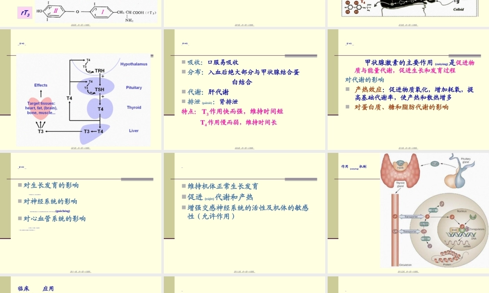 2022年医学专题—甲状腺胰岛素.ppt
