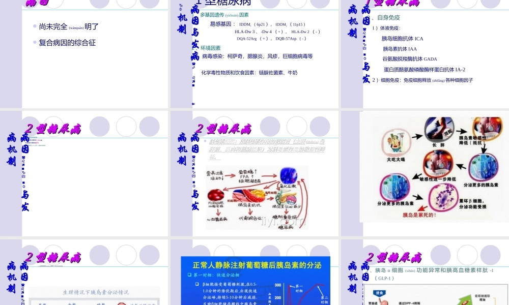 2022年医学专题—糖尿病(教学).ppt