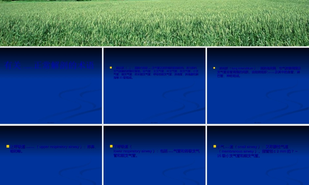 2022年医学专题—胸部CT影像征象高清图解.ppt