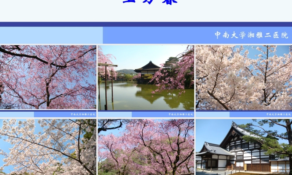 20骨科-骨折概论（修改）(1).ppt