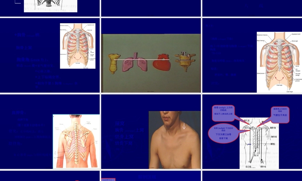 2022年医学专题—胸部与肺部检查2013.ppt