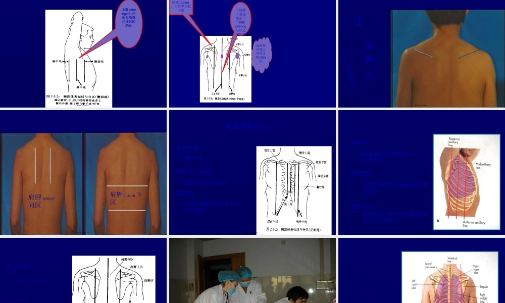 2022年医学专题—胸部与肺部检查2013.ppt