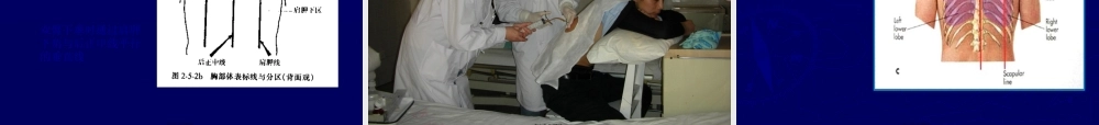 2022年医学专题—胸部与肺部检查2013.ppt