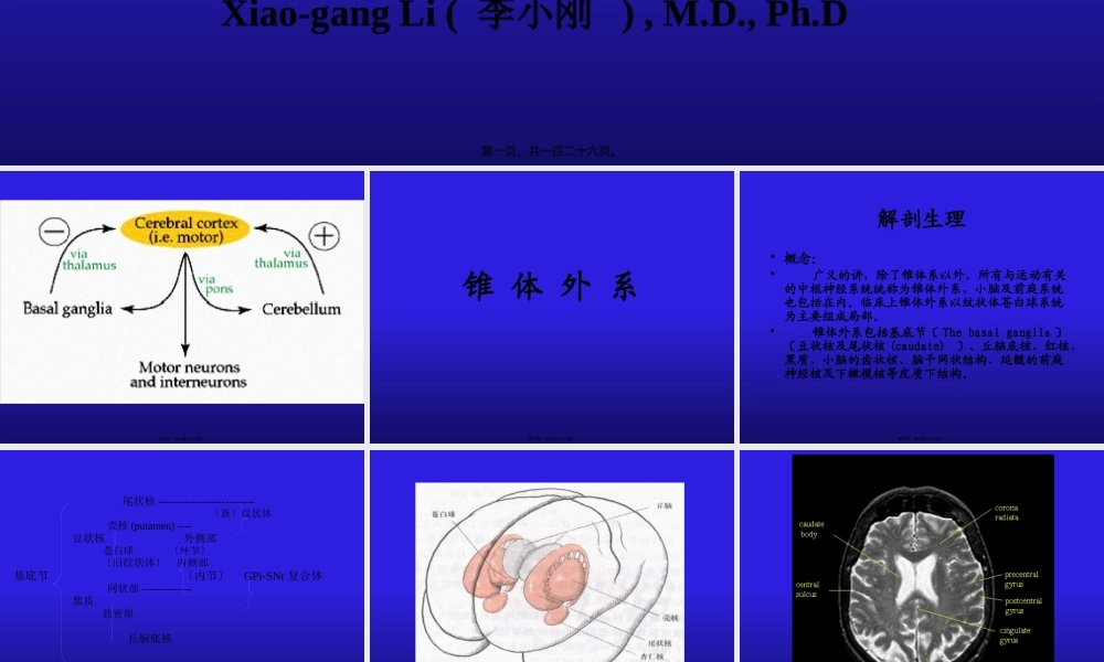 8.锥体外系和小脑(2007进修).pptx