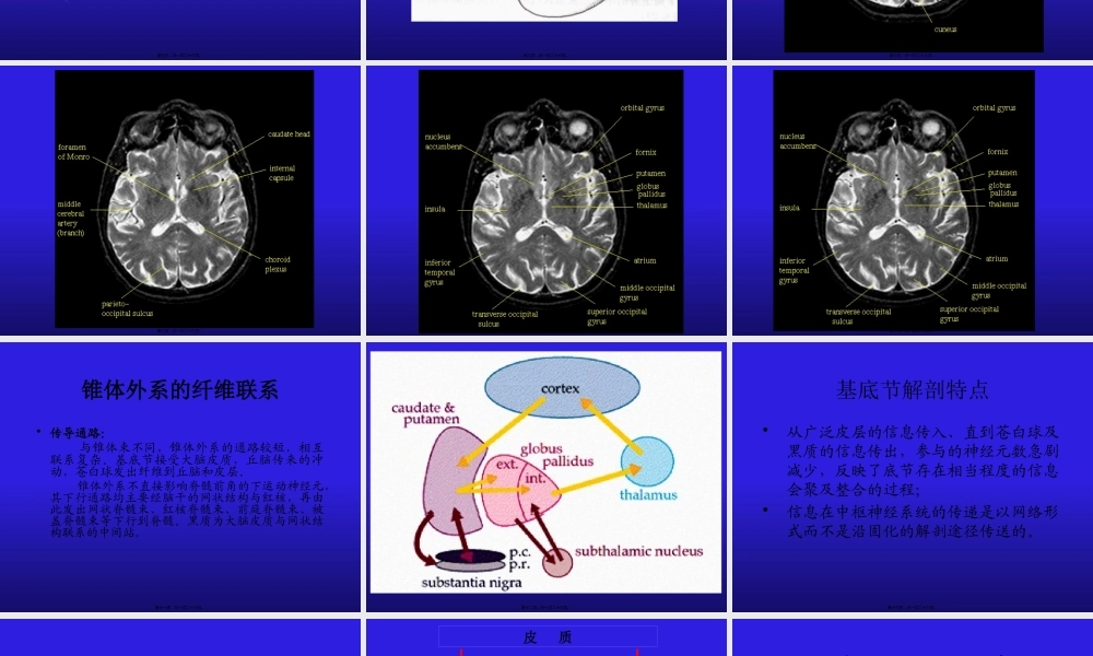 8.锥体外系和小脑(2007进修).pptx