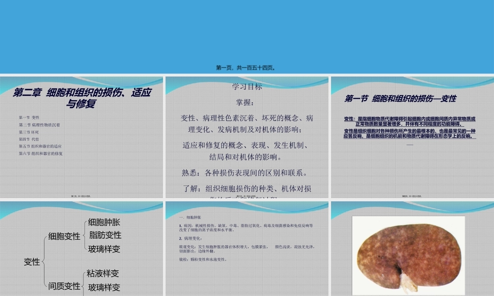 C2-细胞和组织的损伤、适应与修复.ppt