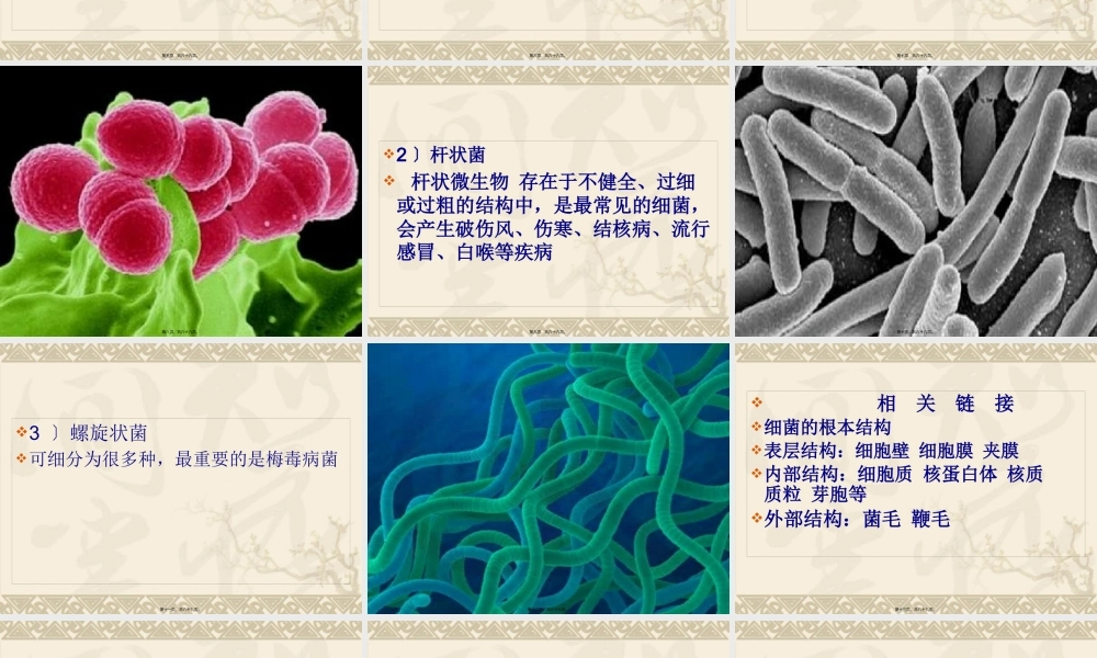 J美容院的卫生与消毒.pptx