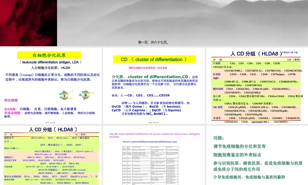Lecture8-白细胞分化抗原和黏附分子.pptx