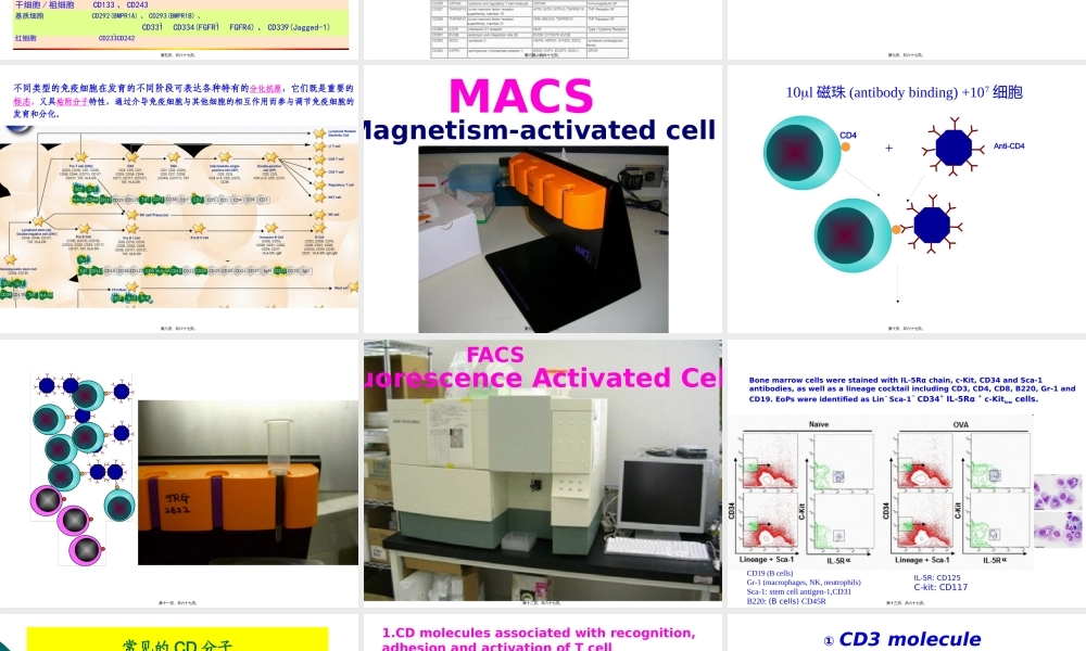 Lecture8-白细胞分化抗原和黏附分子.pptx