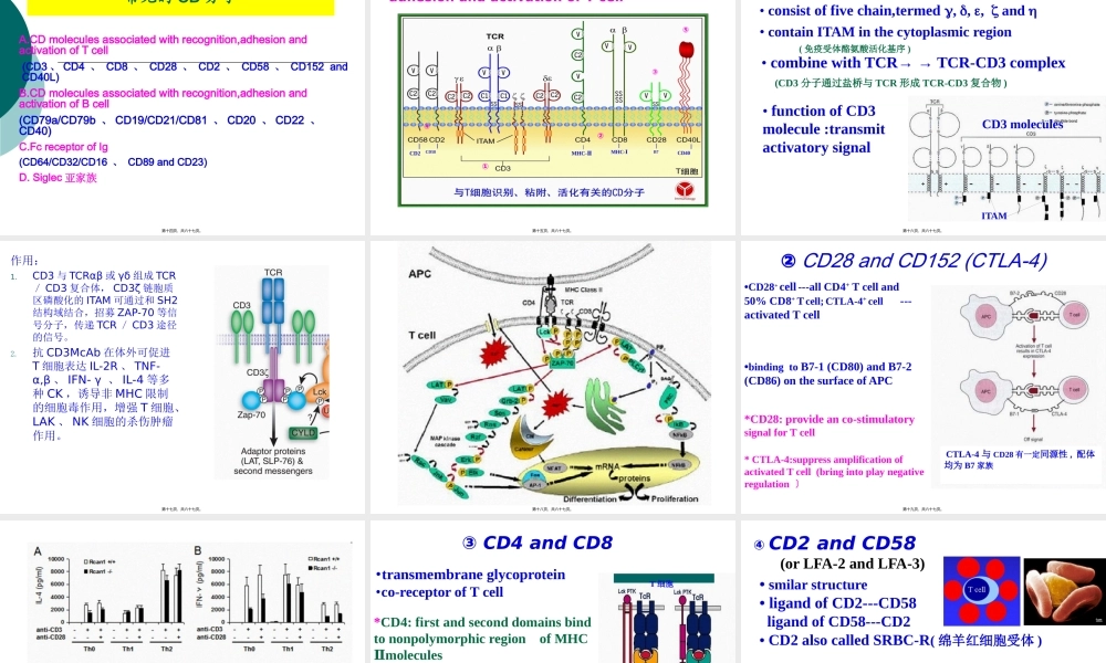 Lecture8-白细胞分化抗原和黏附分子.pptx