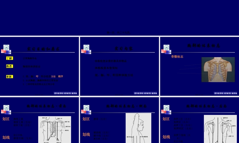 lq--胸肺检查实习.pptx