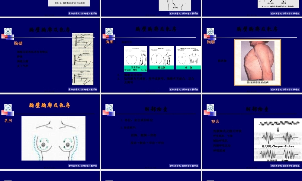 lq--胸肺检查实习.pptx