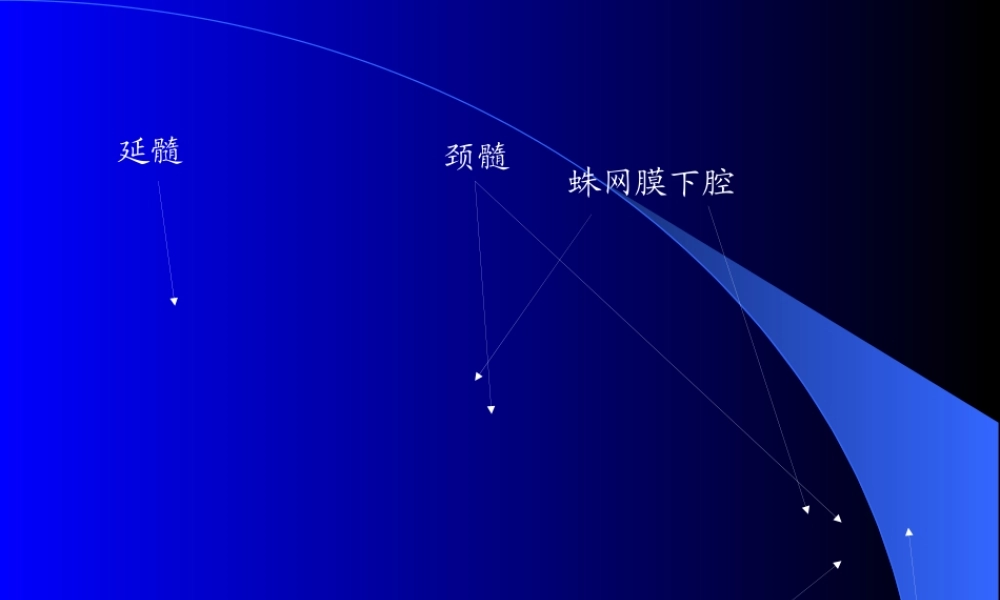 MRI图像-脑-01.pptx