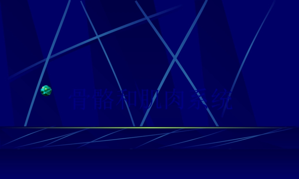 MRI骨骼和肌肉系统-影像FTP.pptx