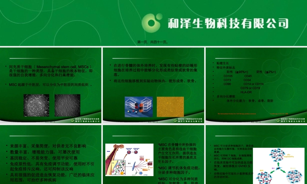 MSC干细胞.pptx