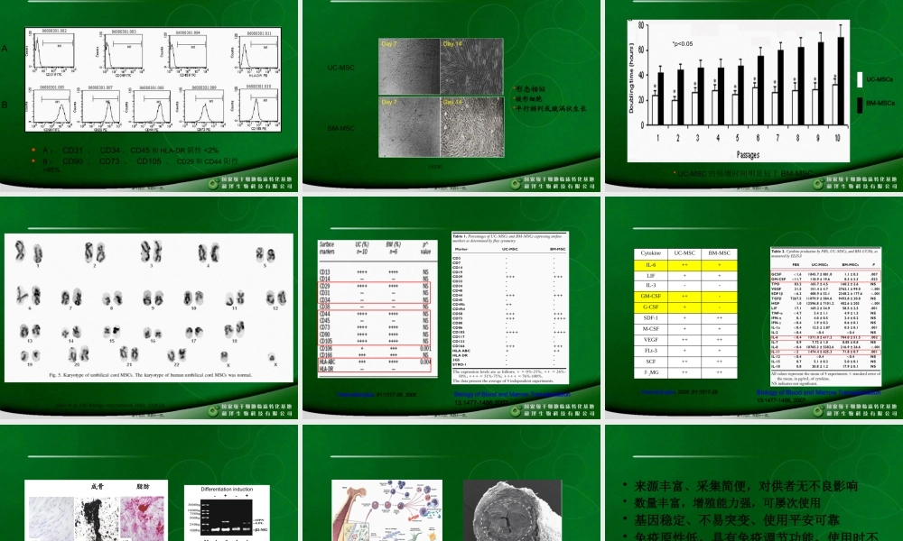 MSC干细胞.pptx
