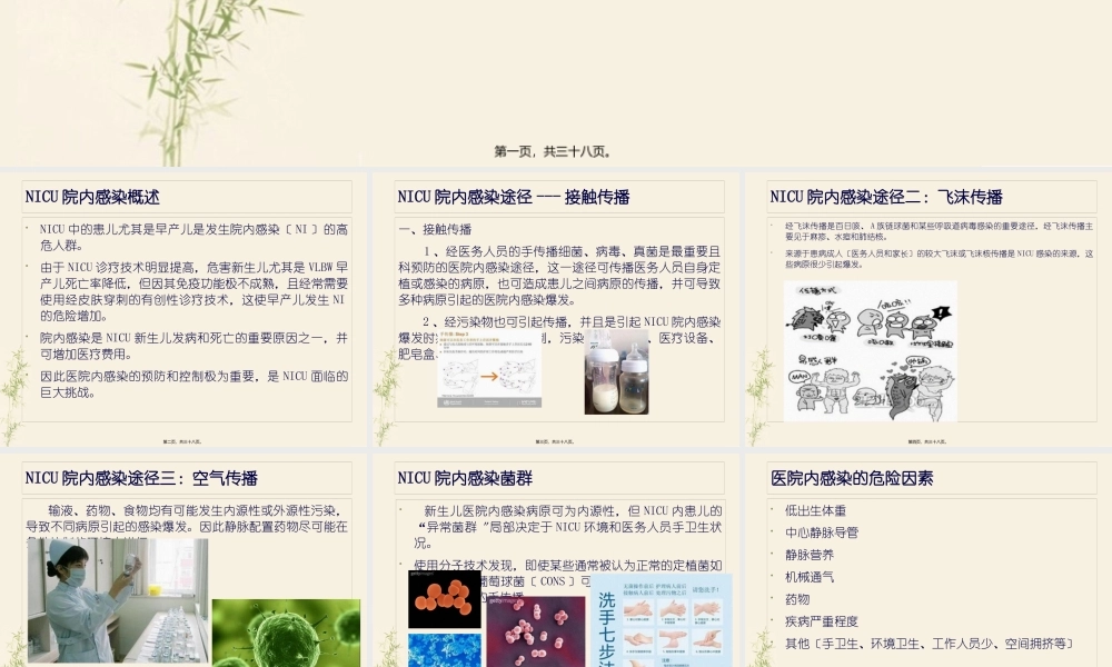 NICU院内感染与防治解读.pptx