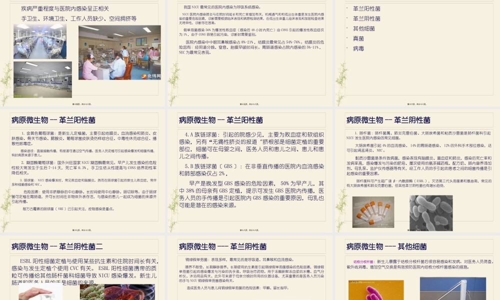 NICU院内感染与防治解读.pptx