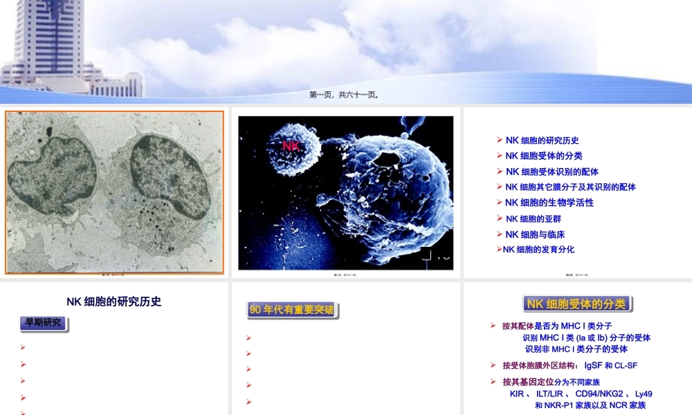 NK细胞(2010上).pptx