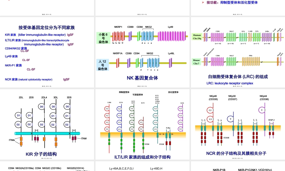 NK细胞(2010上).pptx