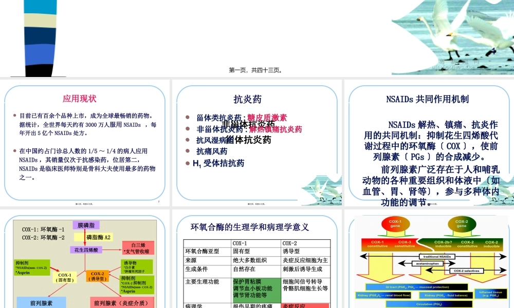 NSAIDs和痛风药(吴柯).pptx