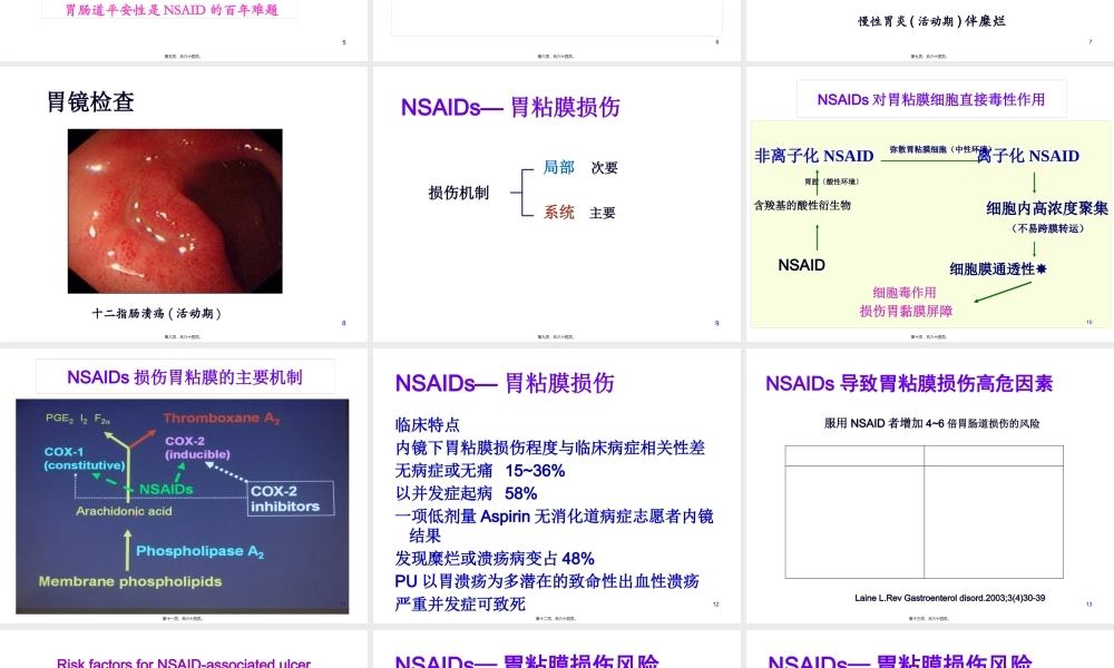 NSAID相关性胃肠病.pptx