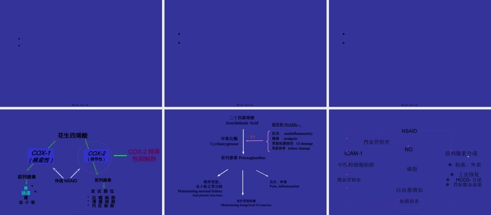 NSAID与胃肠道损伤(2012版).pptx