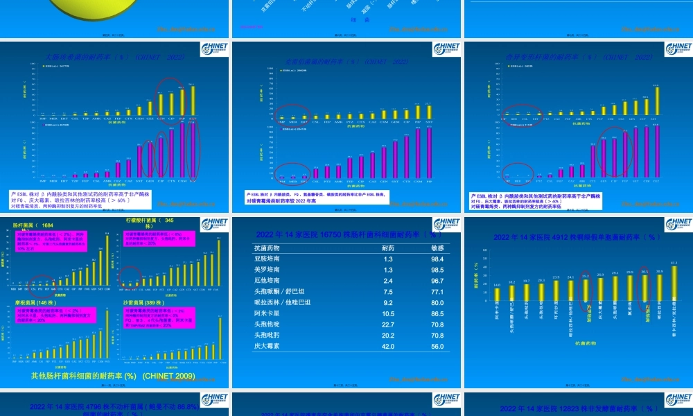 o09耐药检测.pptx