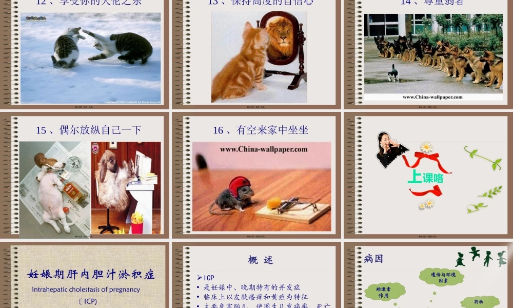 OK妊娠合并肝内胆汁淤积症.pptx