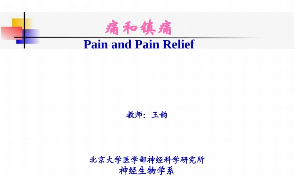 p2痛觉产生的基础理论知识.pptx