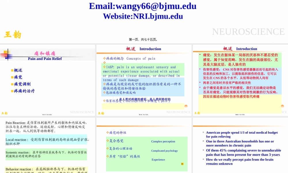 p2痛觉产生的基础理论知识.pptx