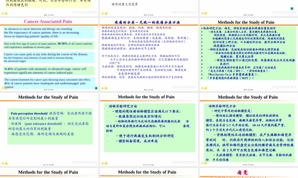 p2痛觉产生的基础理论知识.pptx