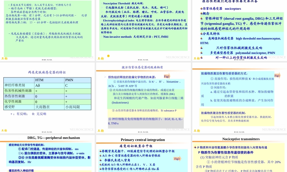 p2痛觉产生的基础理论知识.pptx