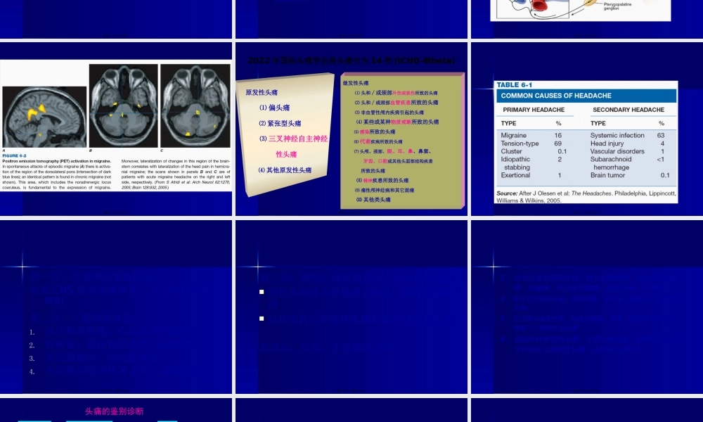 pan-头痛2015ppt.pptx