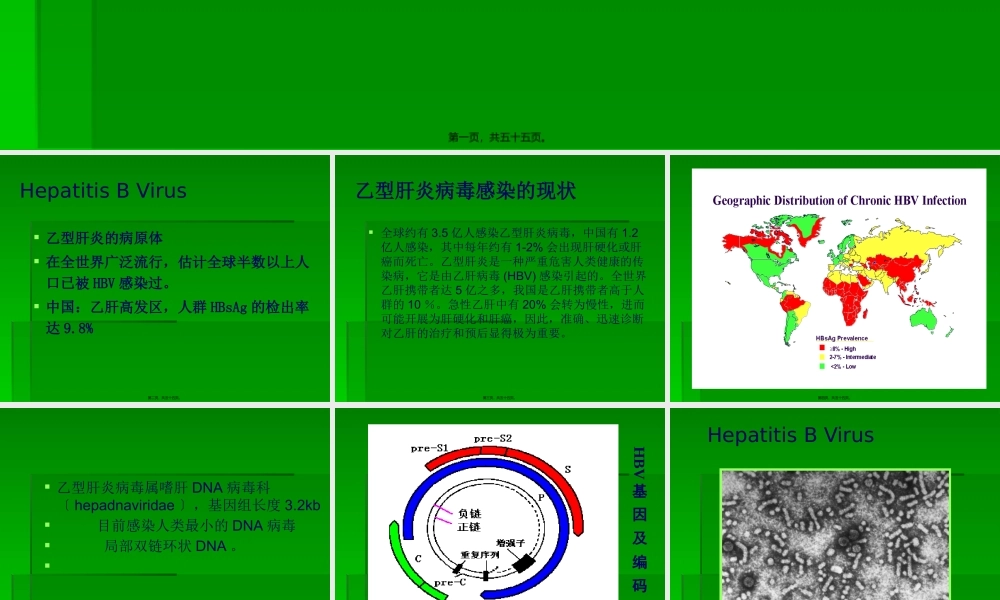 PCR技术在乙肝方面的应用.pptx