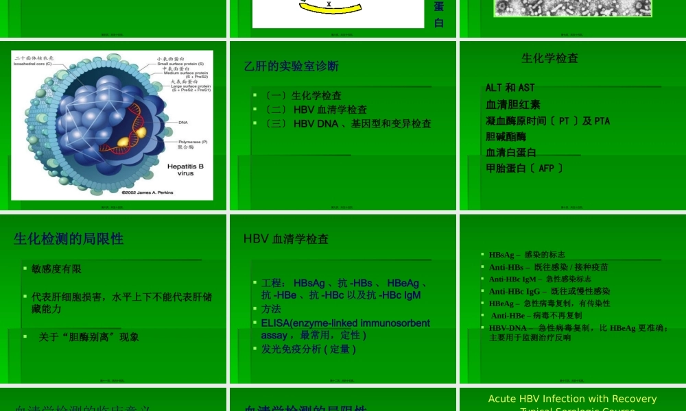 PCR技术在乙肝方面的应用.pptx