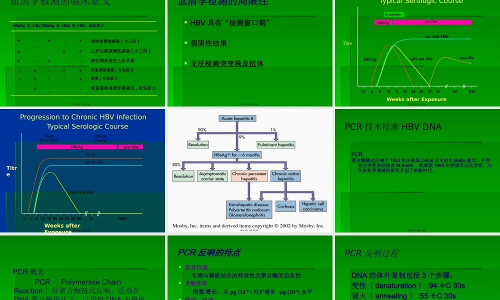 PCR技术在乙肝方面的应用.pptx