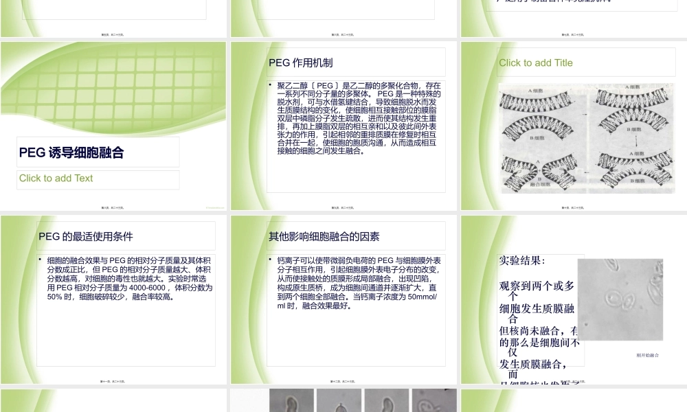 PEG诱导细胞融合.pptx