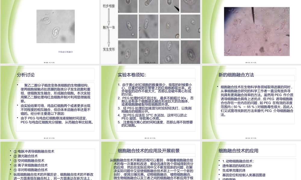 PEG诱导细胞融合.pptx