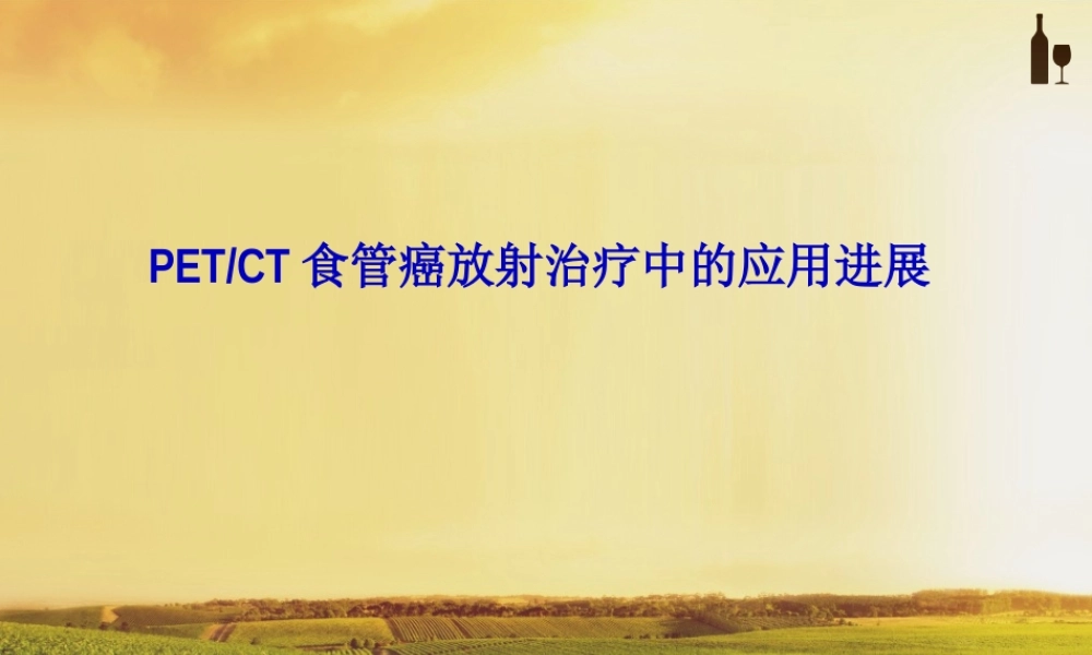 PET-CT在食管癌放疗中的进展.pptx