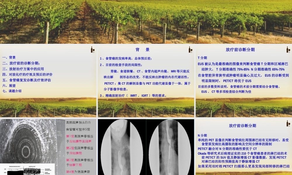 PET-CT在食管癌放疗中的进展.pptx