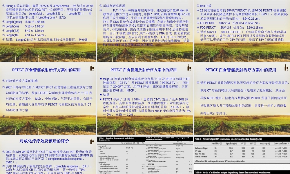 PET-CT在食管癌放疗中的进展.pptx