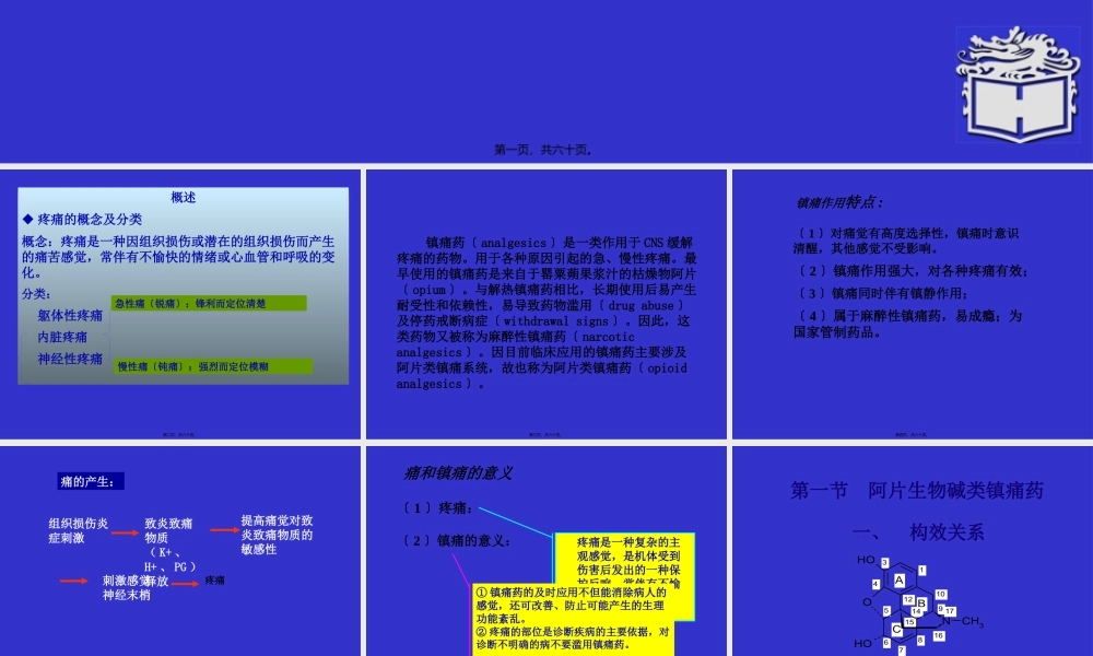 Pharmacology-Chapter-20镇痛药.pptx