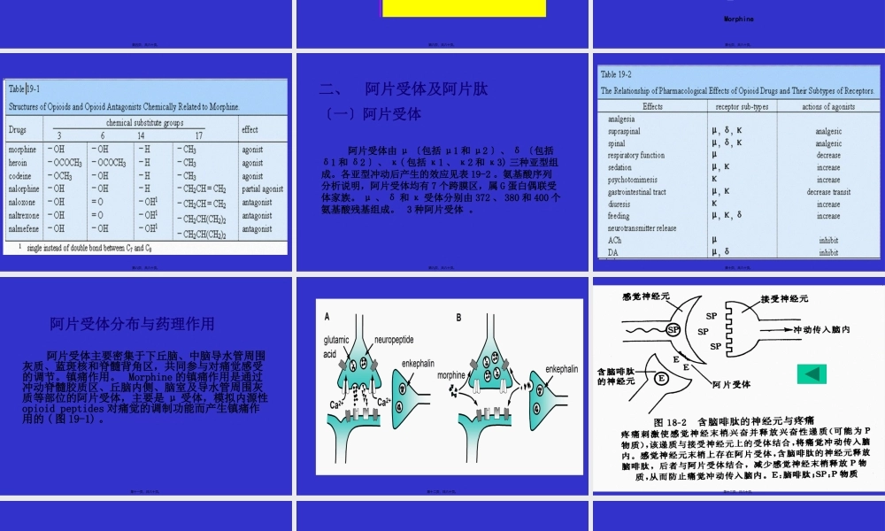 Pharmacology-Chapter-20镇痛药.pptx