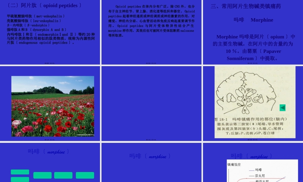 Pharmacology-Chapter-20镇痛药.pptx