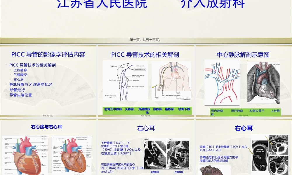 PICC导管头端定位与并发症处理.pptx