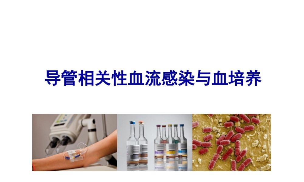 ICU：CRBSI与血培养(全版).ppt