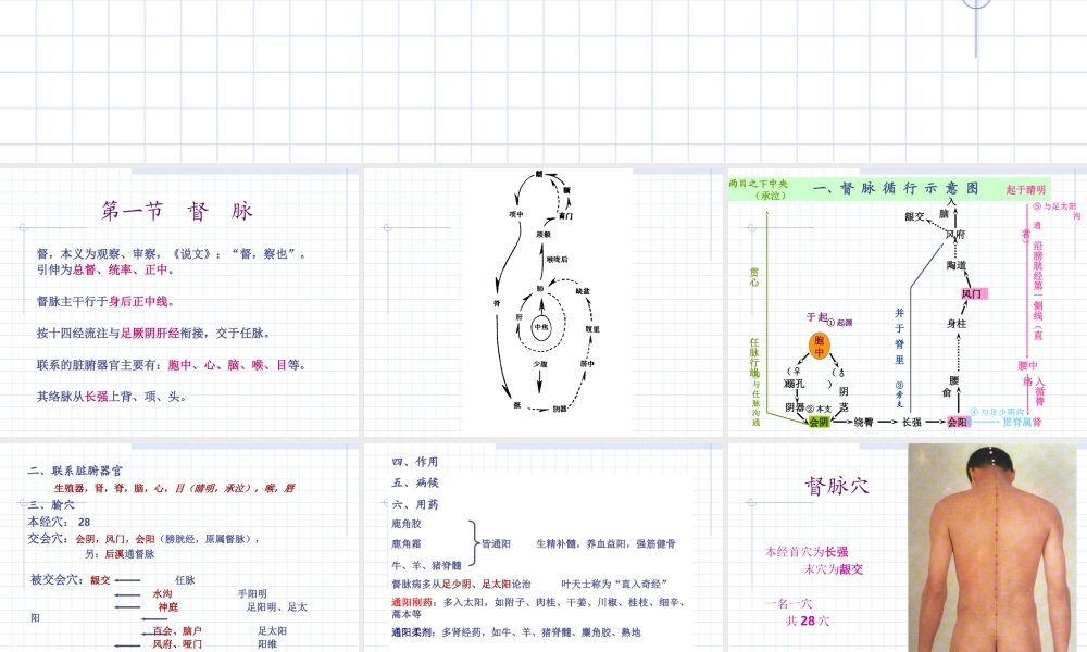 90人体经络穴位图谱13督脉(1).ppt